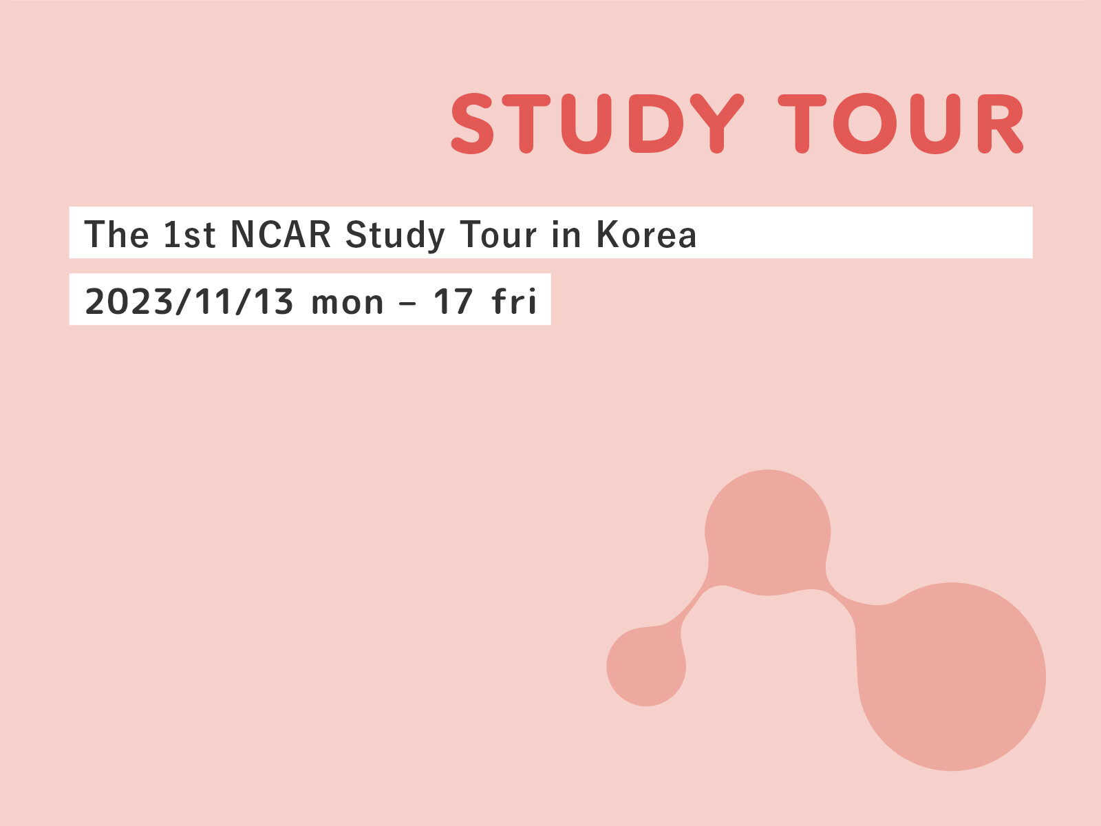 The 1st NCAR Study Tour in Korea

