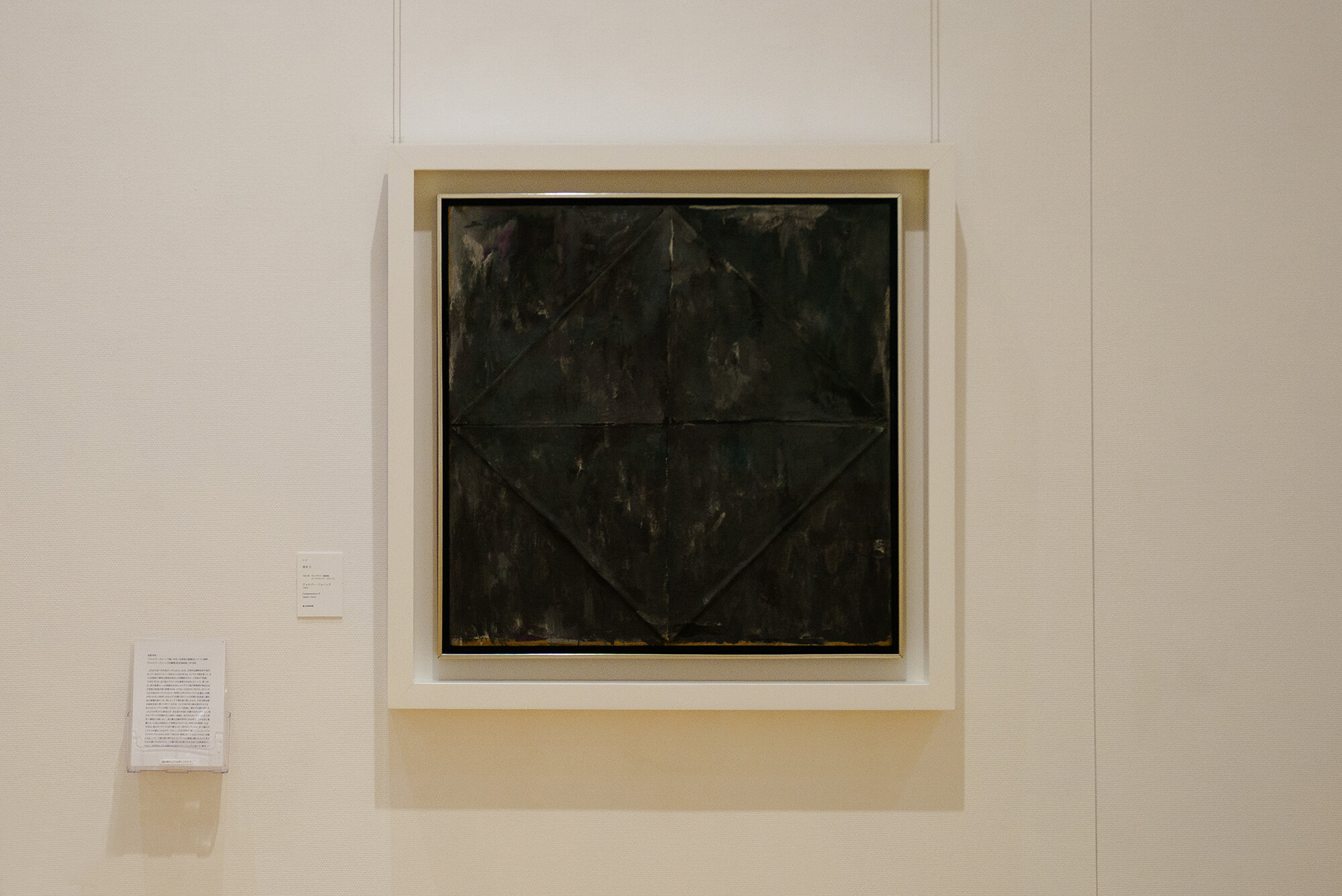 My Favorite Piece: Collection Spotlight Vol. 5 Toyama Prefectural Museum of Art and Design Jasper Johns, Disappearance II

