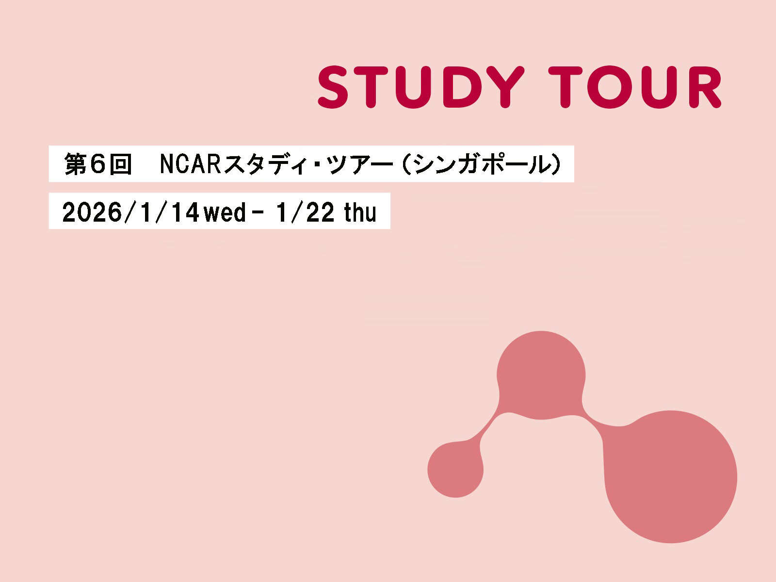 「第６回NCARスタディ・ツアー（シンガポール）」参加者募集
